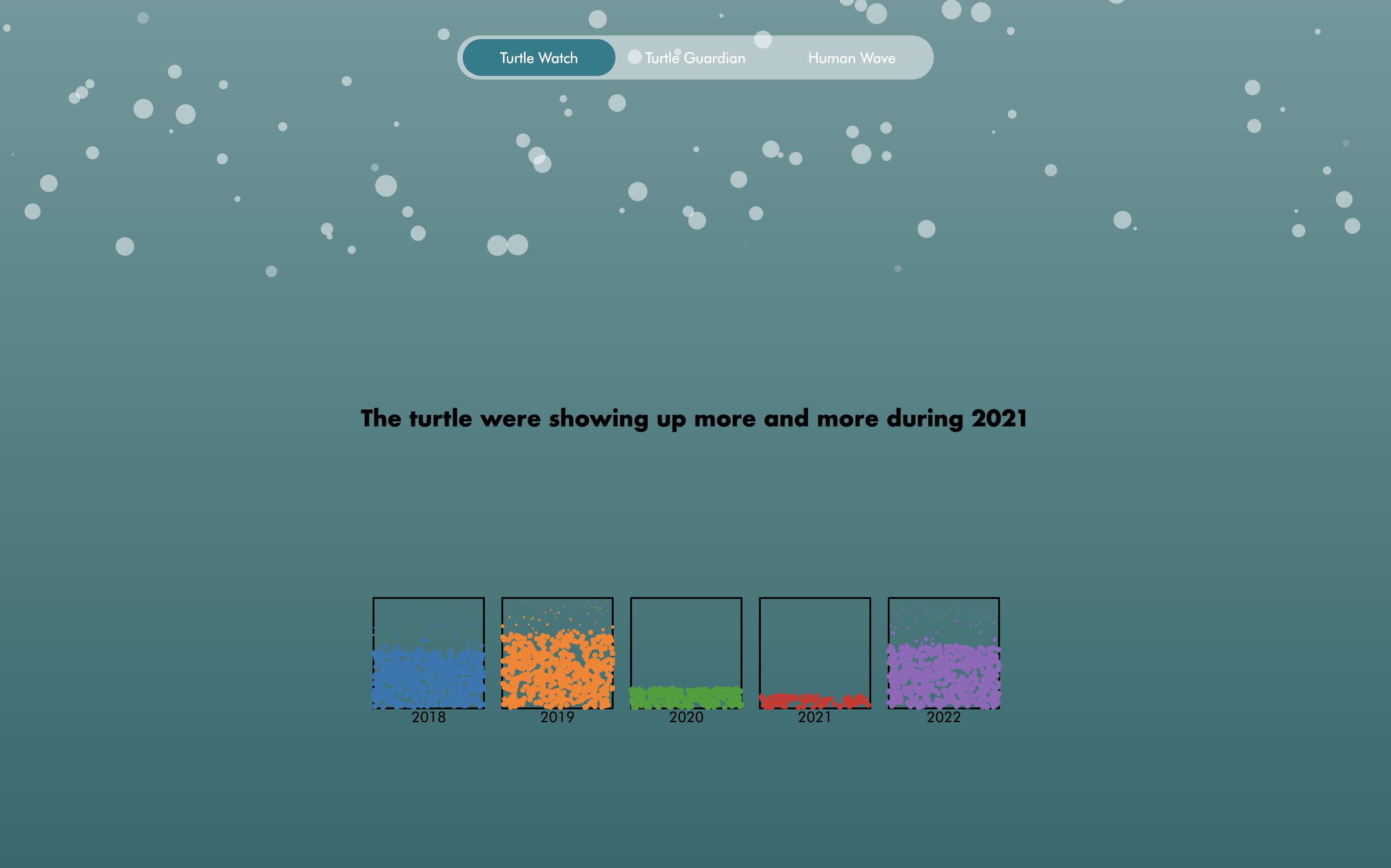 Turtle Watch Dashboard